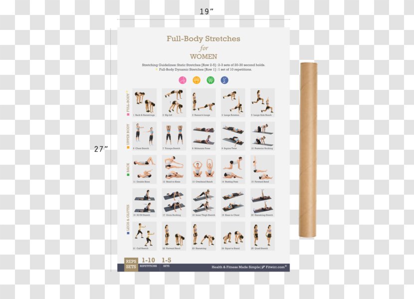 Stretching Bodyweight Exercise Bands Dumbbell - Fitness Poster Transparent PNG