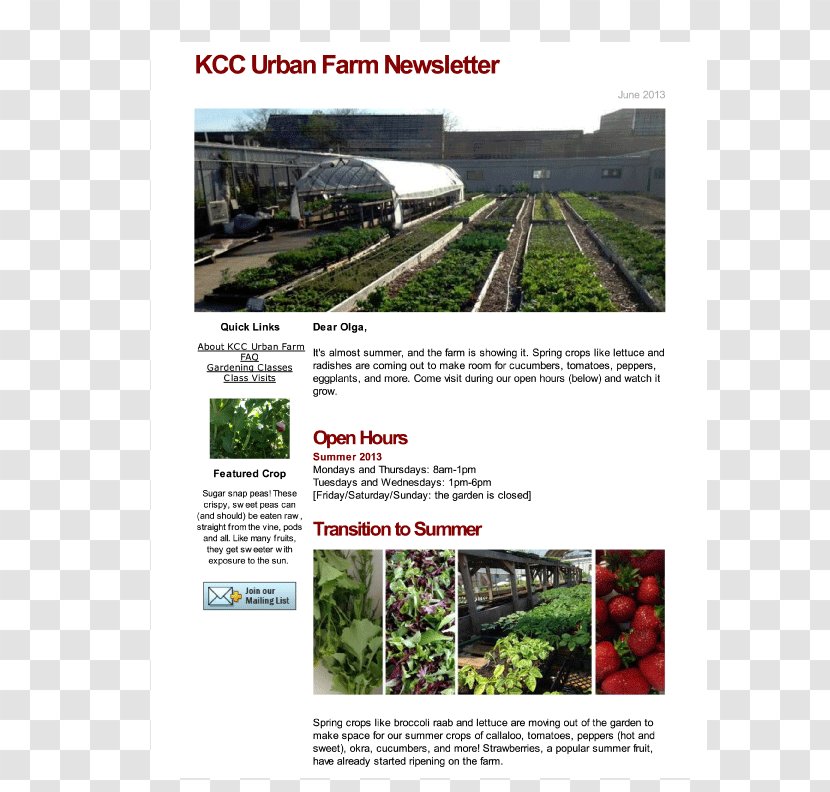 House Social Bite Mactaggart & Mickel Public Housing Edinburgh Council - Slideshare - Urban Farm Transparent PNG