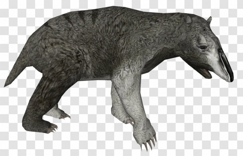 Mammal Animal Bear Canidae Dog Transparent PNG