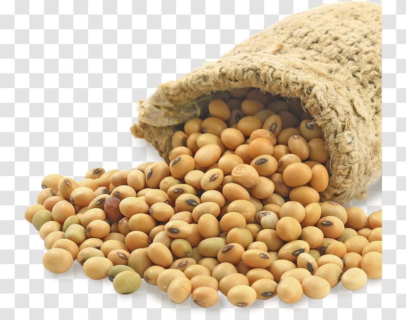 Soybean Food Price United States Dollar Bushel - Superfood - Beans Transparent PNG