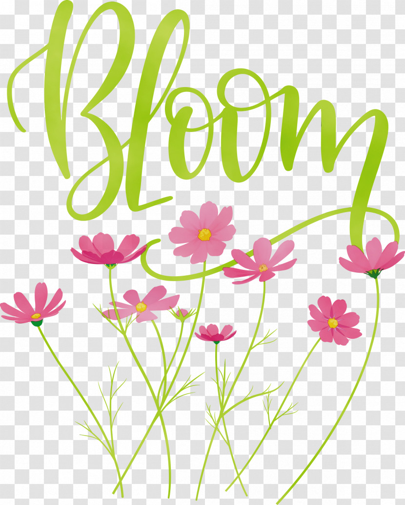 Floral Design Transparent PNG