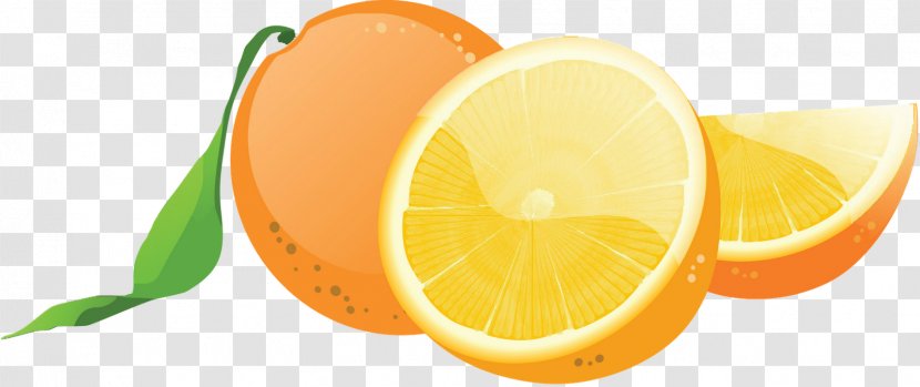 Fruit Logo - Orange - Clipart Transparent PNG
