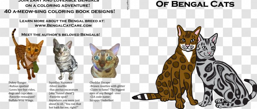 The Big Coloring Book Of Bengal Cats Maine Coon Ragdoll California Spangled - Kitten Transparent PNG