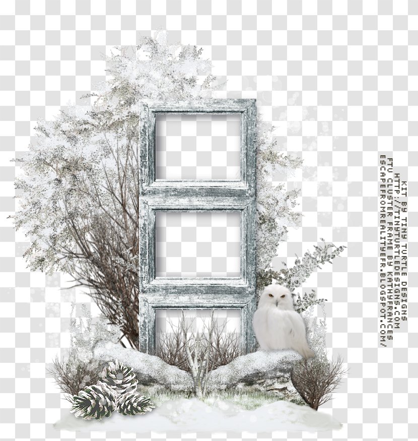Picture Frames Window Clip Art - Snow - Elegant Fairy Transparent PNG