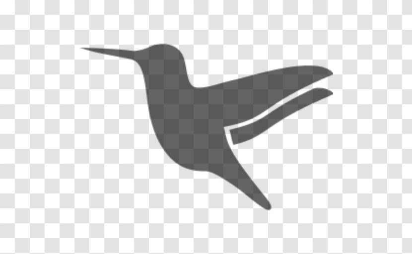 Hummingbird - Symbol Transparent PNG
