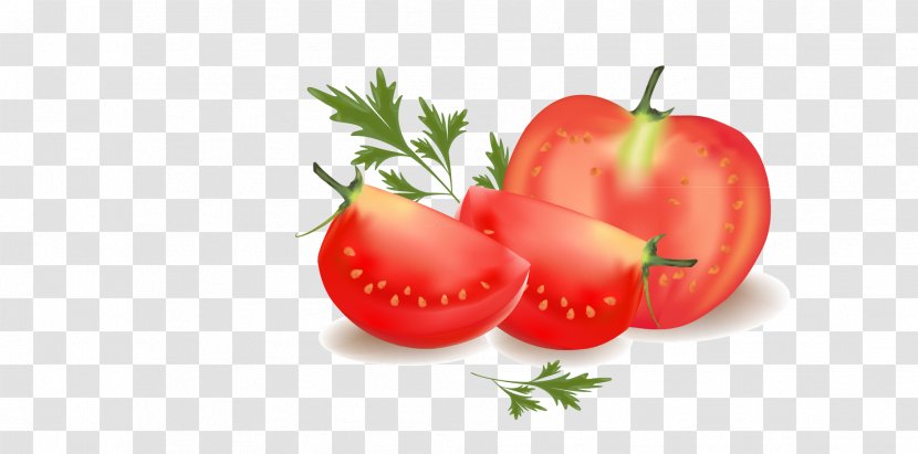 Tomato Vegetable Clip Art - Roma Transparent PNG