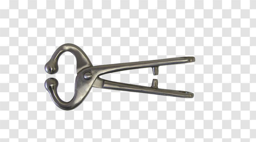 Lead Chain Bull Stock Keeping Unit Household Hardware - Veterinarian - Hooks Transparent PNG