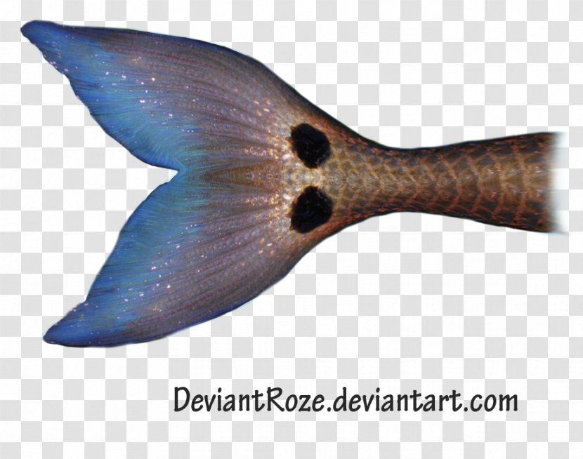 Mermaiding Fish Fin Tail Diving & Swimming Fins - Whale - Flippers Transparent PNG