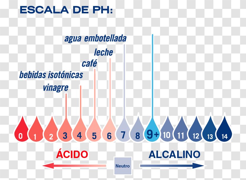 PH Water Alkalinity Acid Cultivo - Area Transparent PNG