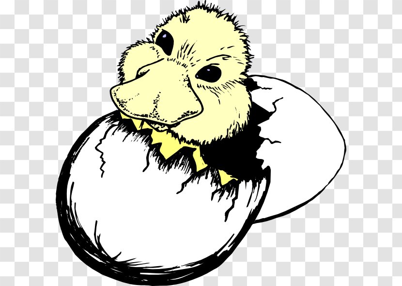 Duck Hatching Clip Art - Face - Owl Hatch Cliparts Transparent PNG
