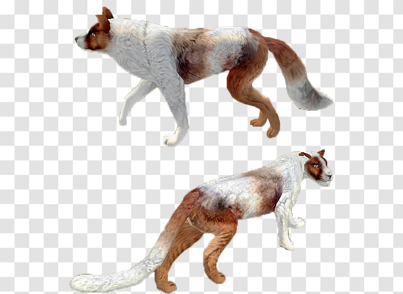 Dog Breed Africanis Dingo Rough Collie Border - Colors Transparent PNG