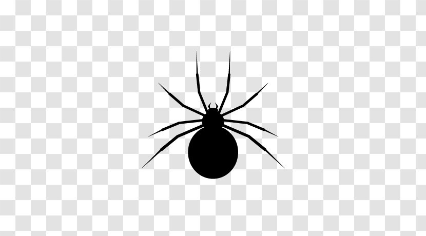 Insect Black And White Pattern - Arachnid - Spider Web Icon Transparent PNG