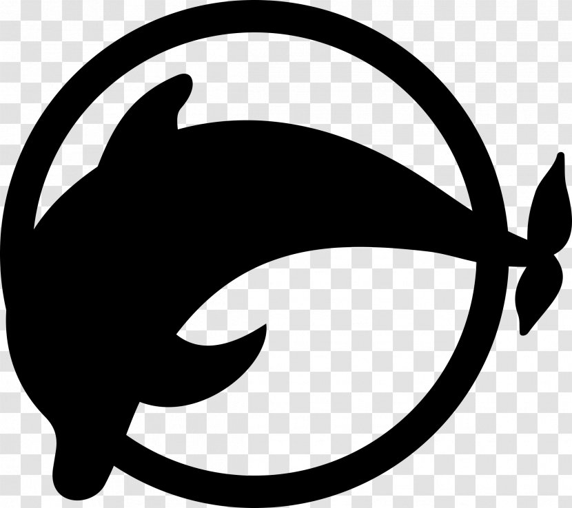 Dolphin Clip Art - Photography Transparent PNG