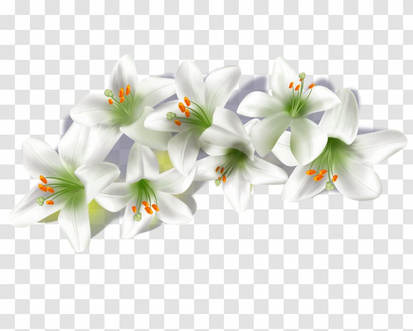 Lilium Book Computer File - Heart - Lily Transparent PNG