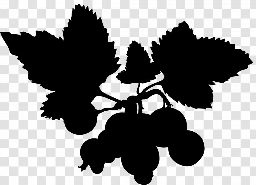 Donald Duck Anders And & Co. Beagle Boys Phantom Blot Clip Art - Fruit - Grape Leaves Transparent PNG