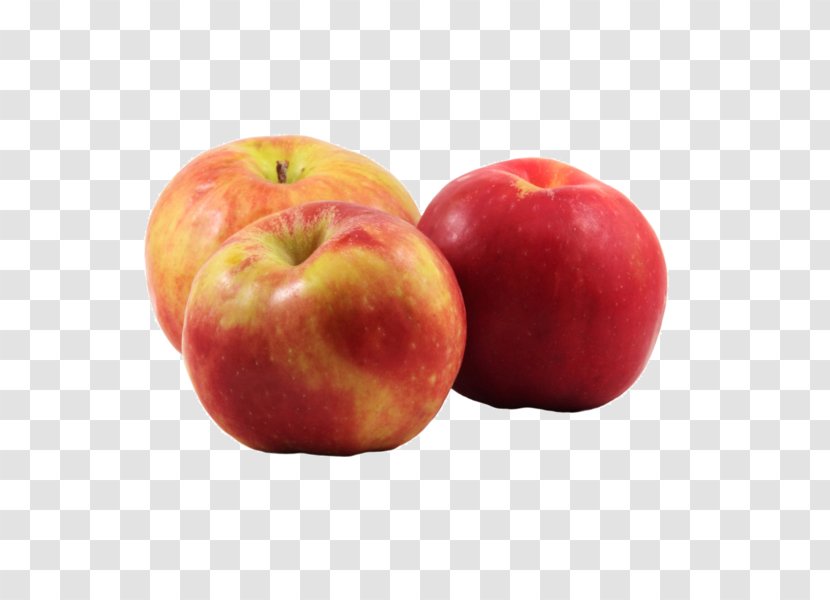 McIntosh Red Gravenstein Apple Cider Fruit Tree - Newtown Pippin - Organic Food Transparent PNG