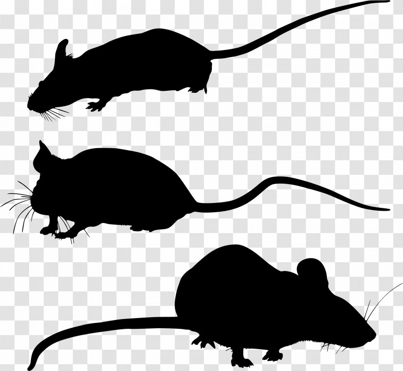 Gerbil Whiskers Clip Art Computer Mouse Fauna - Muridae Transparent PNG