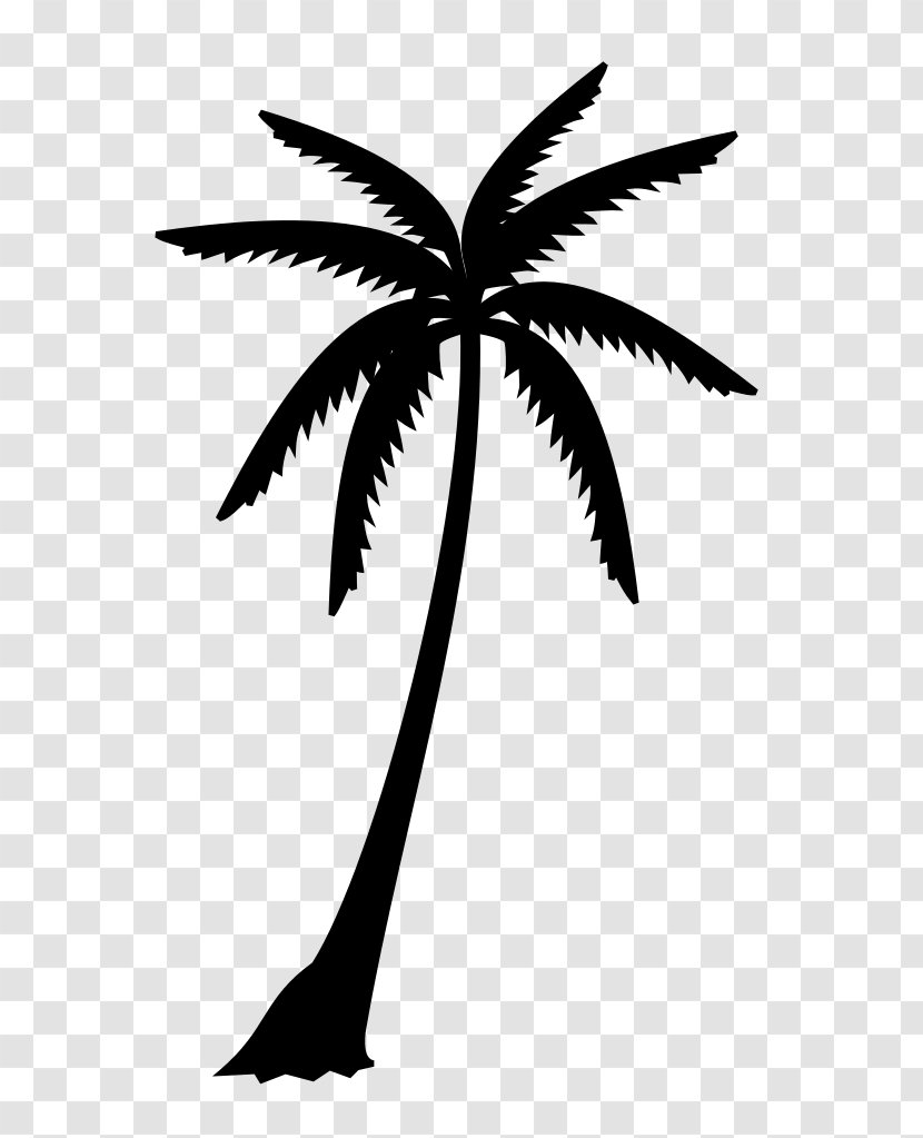 Palm Trees Black & White - Leaf - M Plant Stem Silhouette Transparent PNG