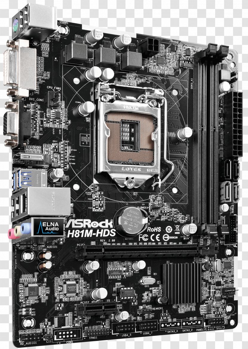 Motherboard LGA 1150 MicroATX CPU Socket ASRock H81M-HDS - Microcontroller - Computer Transparent PNG