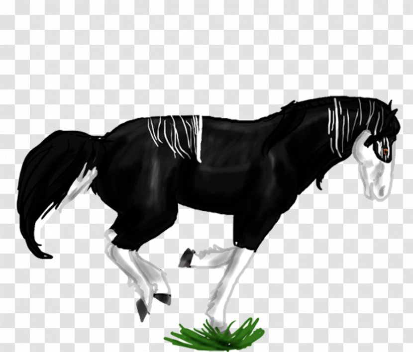 Mane Mustang Stallion Pony Mare - Horse Tack Transparent PNG