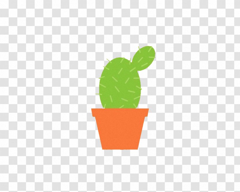 Cartoon Cactaceae - Area - Cactus Transparent PNG