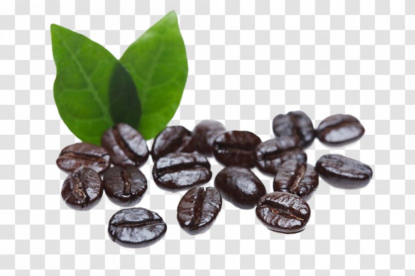 Arabic Coffee Cafe Bean - Superfood - Beans Transparent PNG