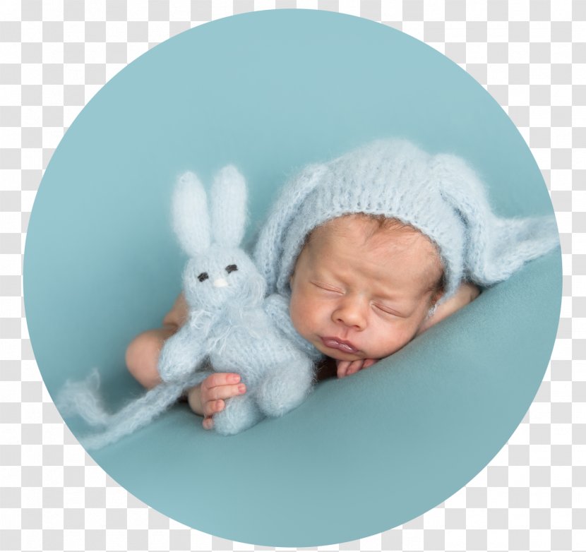 Infant Domestic Rabbit Fotografie Christa Nerinckx Stuffed Animals & Cuddly Toys Easter Bunny - Photography - Viktor Ponedelnik Transparent PNG