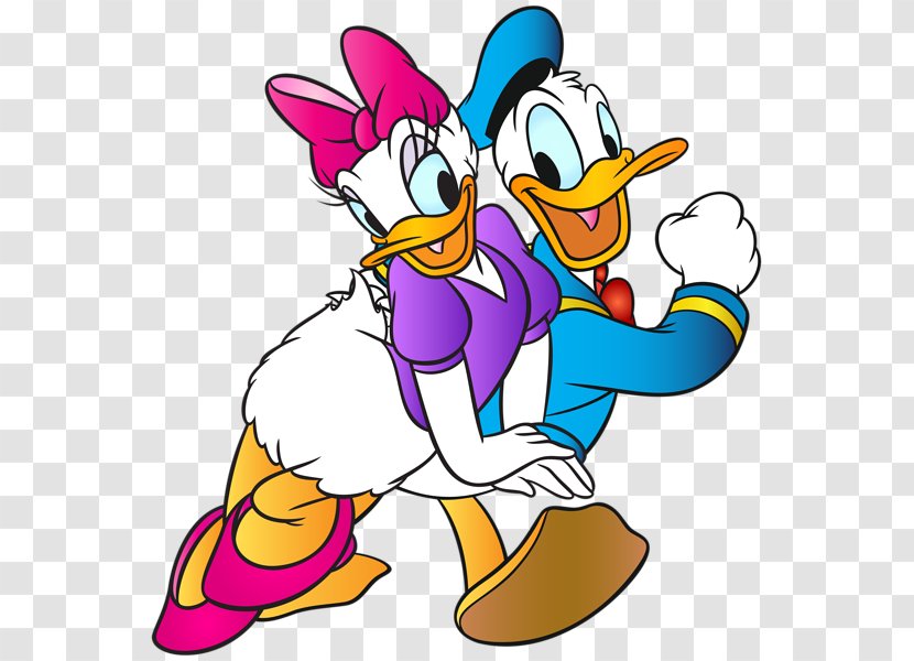 Donald Duck Daisy Daffy Bugs Bunny - DUCK Transparent PNG