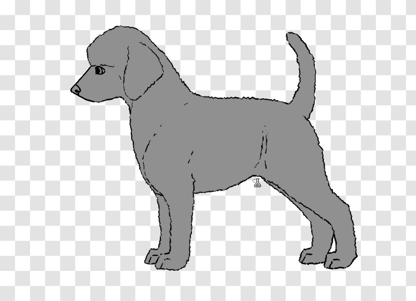 Labrador Retriever Puppy Dog Breed Companion - Mammal - California Giant Poodle Transparent PNG