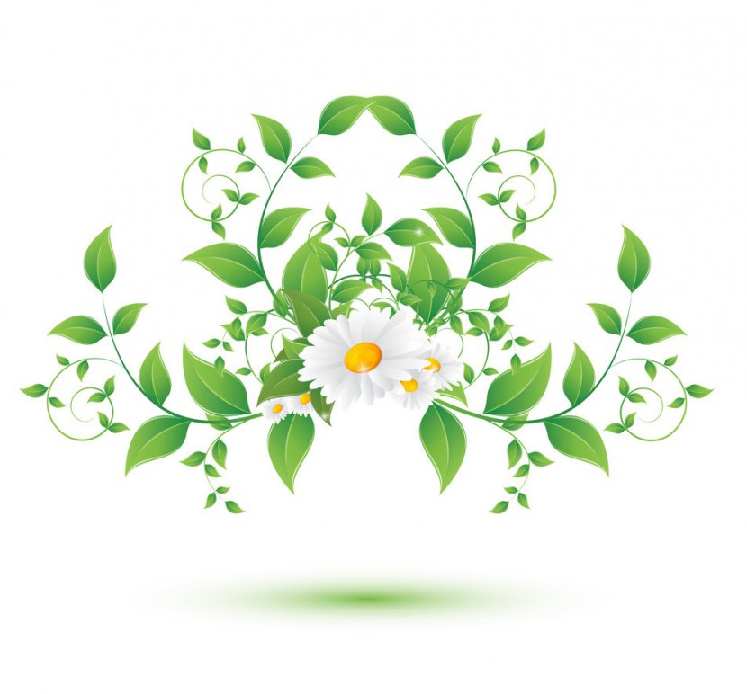 Green Flower Plant Leaf Petal - Wildflower Cut Flowers Transparent PNG