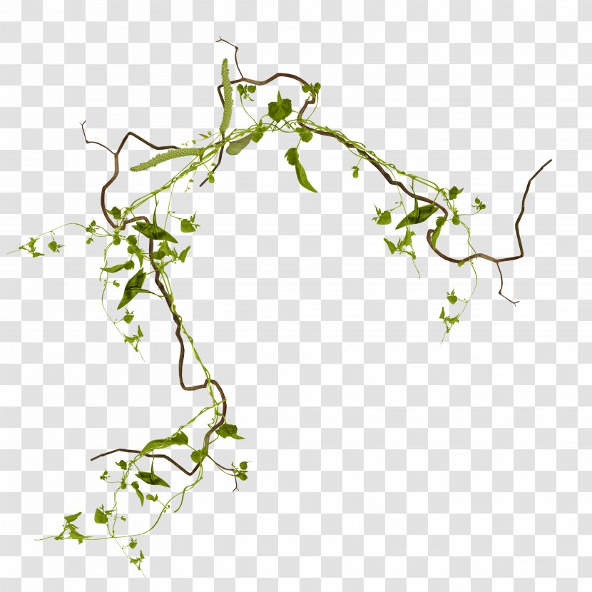 Flower - Branch - Creative Grass Transparent PNG