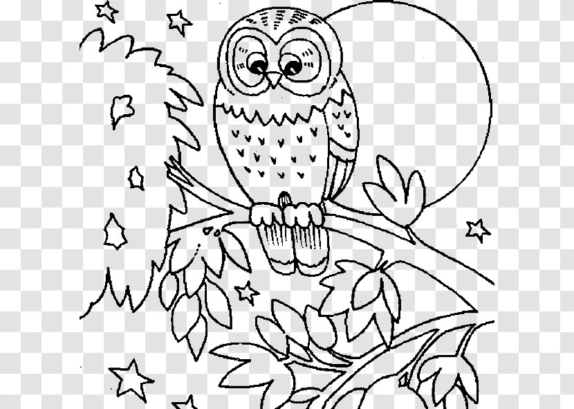 Snowy Owl Coloring Book - Cartoon Transparent PNG