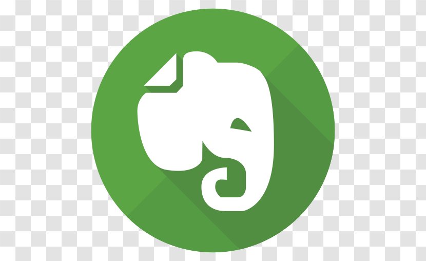 Evernote Apple Icon Image Format - Scalable Vector Graphics - Drawing Transparent PNG