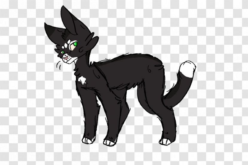 Whiskers Kitten Domestic Short-haired Cat Black - Tail Transparent PNG