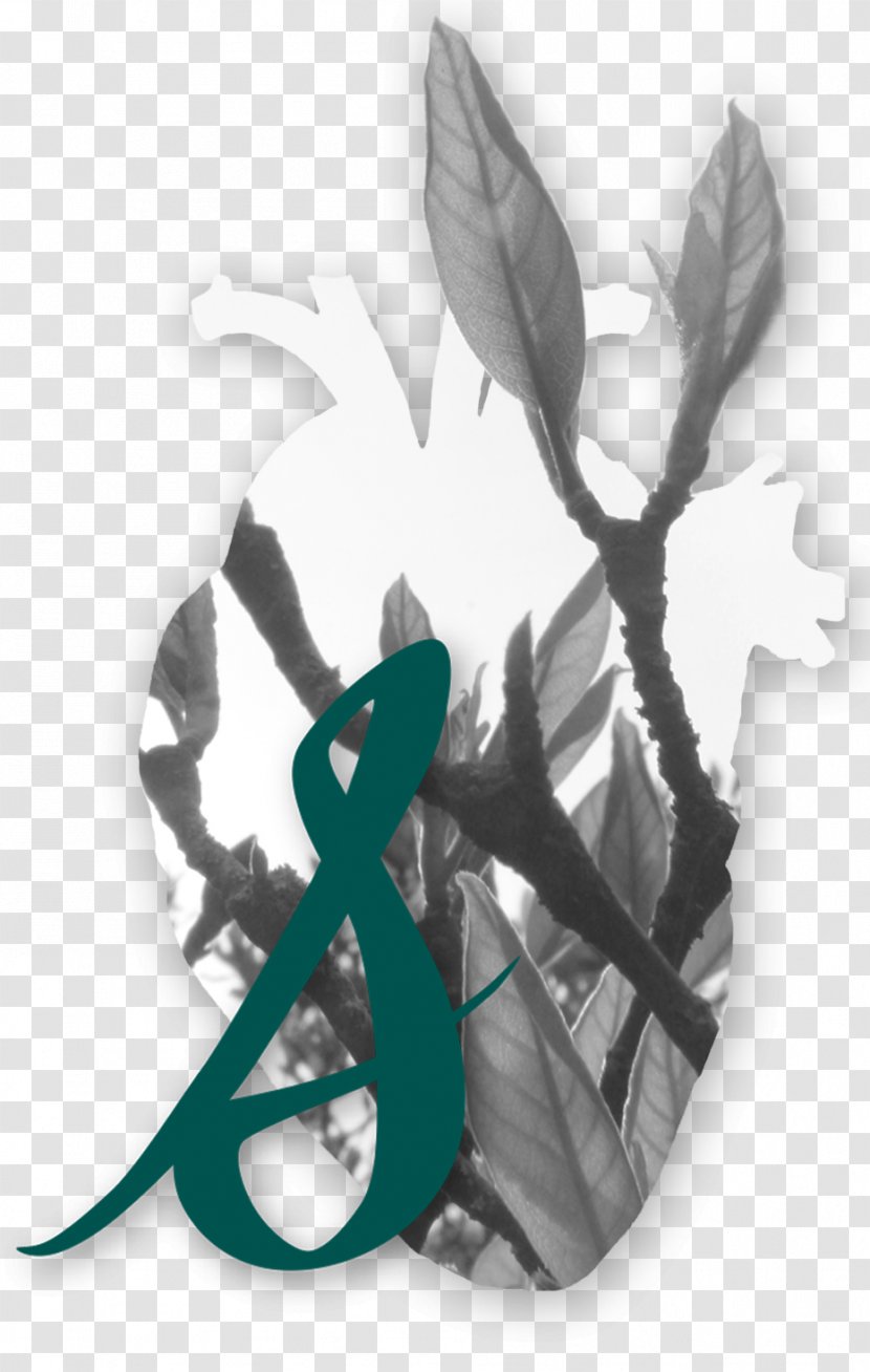 Teal Leaf - Design Transparent PNG