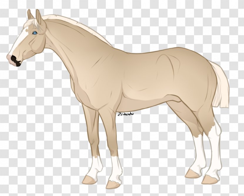 Vector Graphics Clip Art Illustration Image Drawing - Logo - Brazilian Sport Horse Transparent PNG