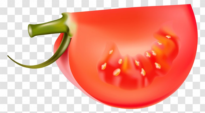 Vector Graphics Vegetable Tomato Illustration Clip Art - Peperoncini Transparent PNG