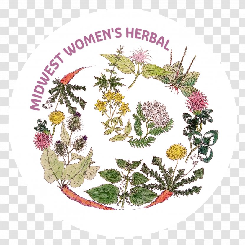 A Woman's Herbal Herbcraft Herbalism Food - Great Lakes Herb Faire - Eugenia Bone Transparent PNG