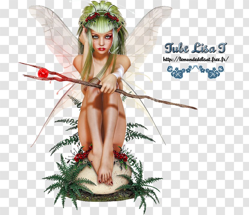 Fairy Elf Blog Organism Transparent PNG