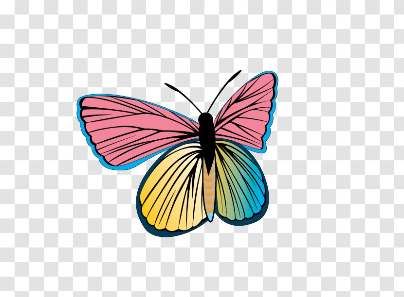 Butterfly Clip Art - Wing - Vector Colorful Transparent PNG