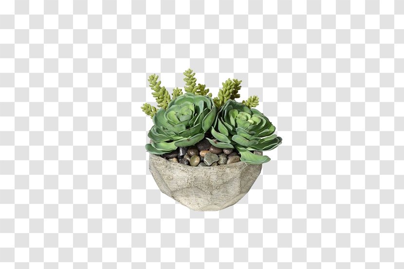 Succulent Plant Container Garden Houseplant Gardening - Herb - Multi Potted Meat Transparent PNG