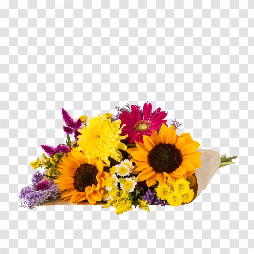 Transvaal Daisy Cut Flowers Aquatic Plants - Flower Arranging - Swallow Falls Transparent PNG