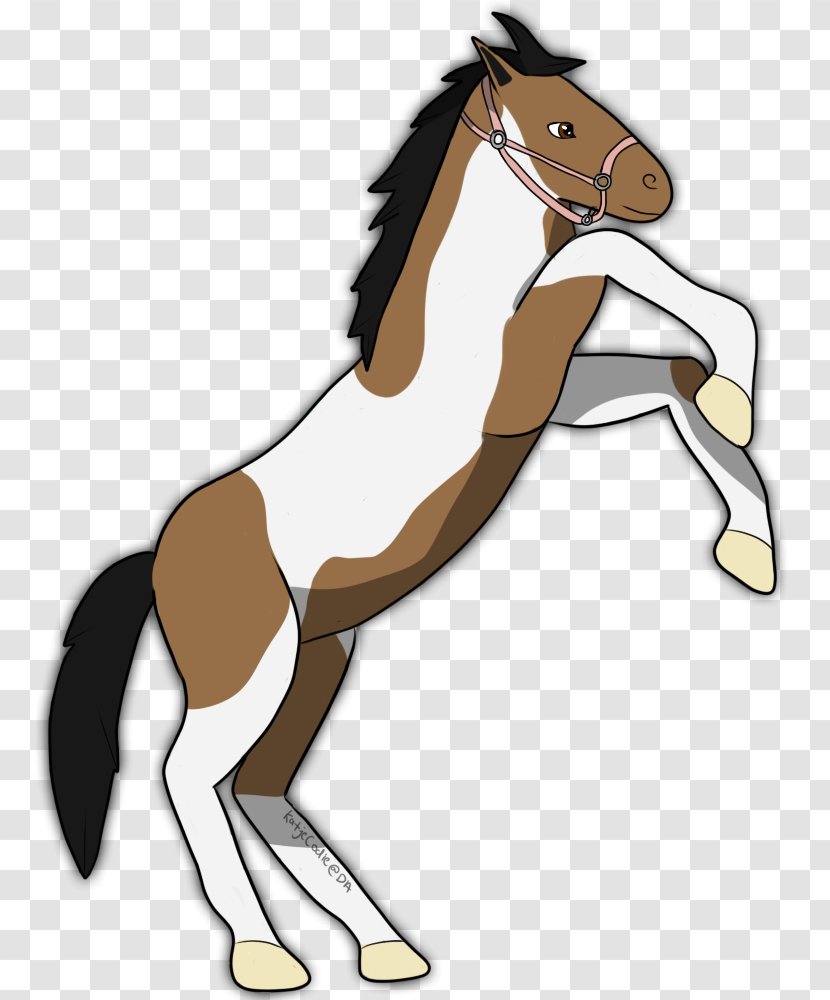 Mane Foal Mustang Stallion Rein Transparent PNG