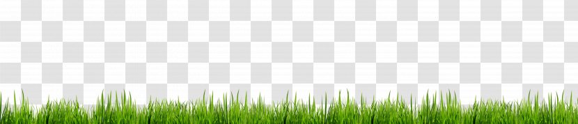 Grasses Lawn Energy Wallpaper - Meadow - Green Grass Decoration Borders Transparent PNG