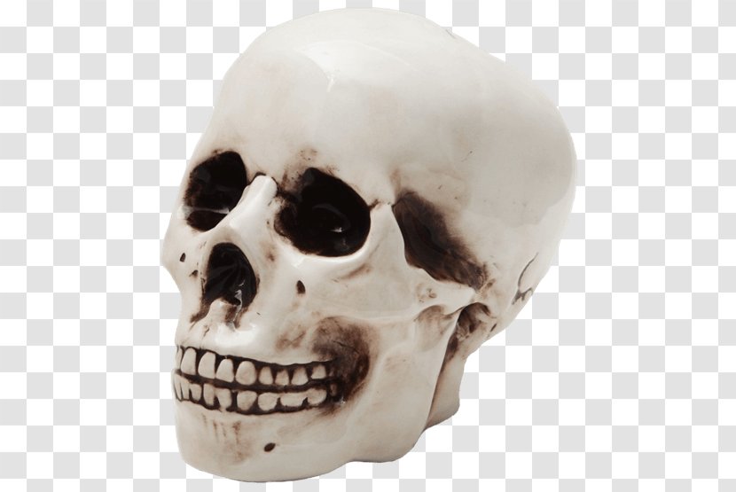 Skull Skeleton Piggy Bank Coin Transparent PNG