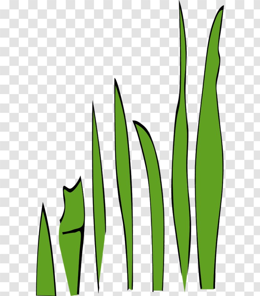 Clip Art - Grass Family - Cartoon Pictures Of Transparent PNG