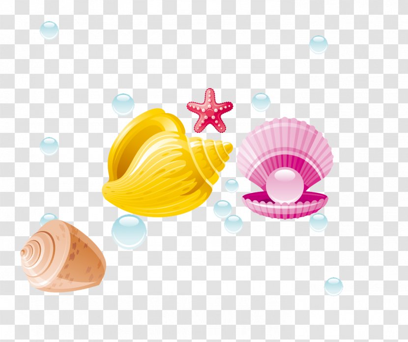 Pearl Seashell Conch - Designer - Shell Transparent PNG