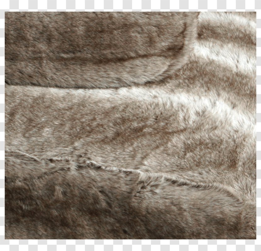 Centimeter Dog Fur Snout Germany - Wool - Fuchs Transparent PNG
