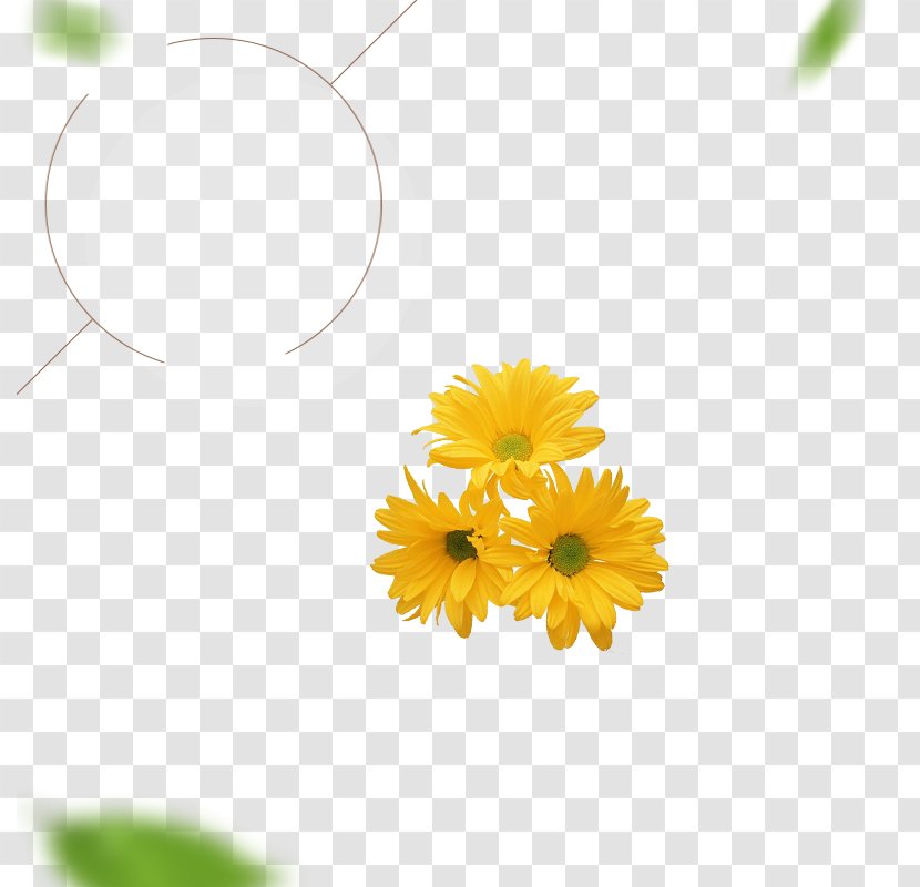 Flowering Tea Floral Design - Floristry - Decoration Transparent PNG