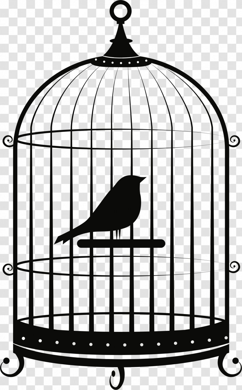 Birdcage Parrot Clip Art - Iron - Bird Transparent PNG